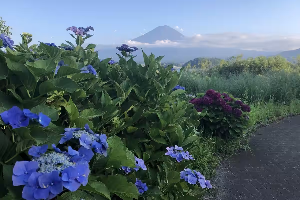 画像7