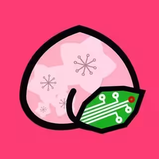 画像11