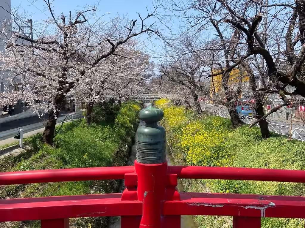画像6