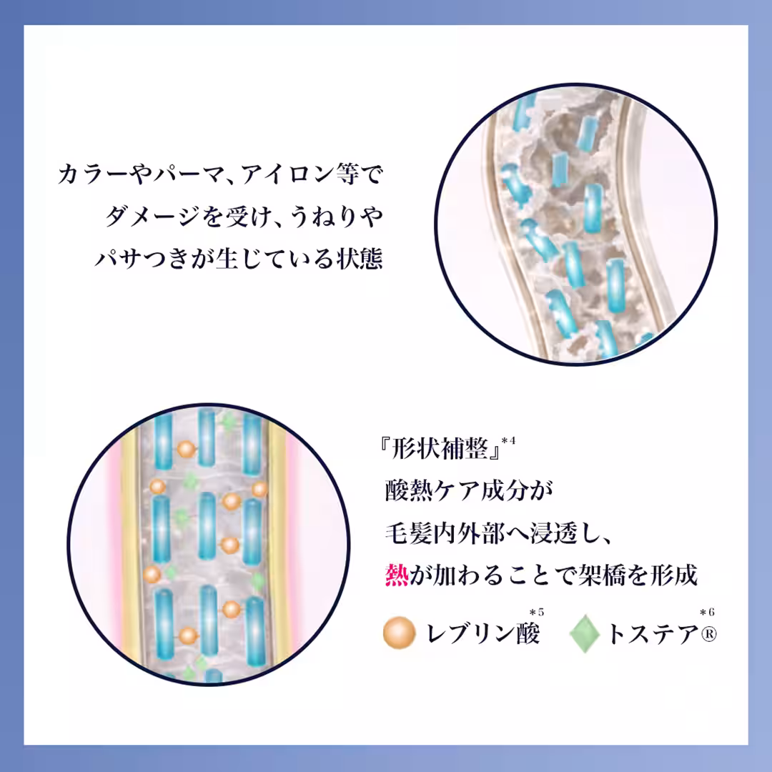 画像15