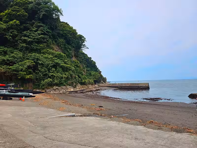 画像6