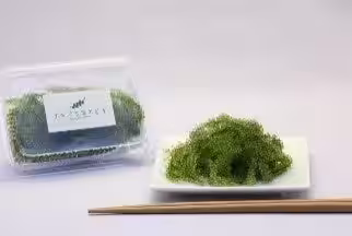 画像11