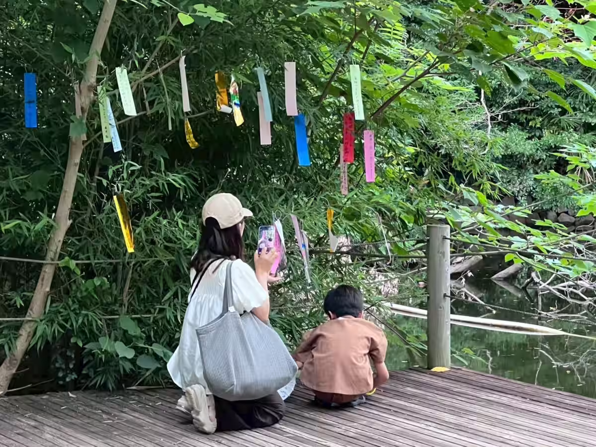 画像6