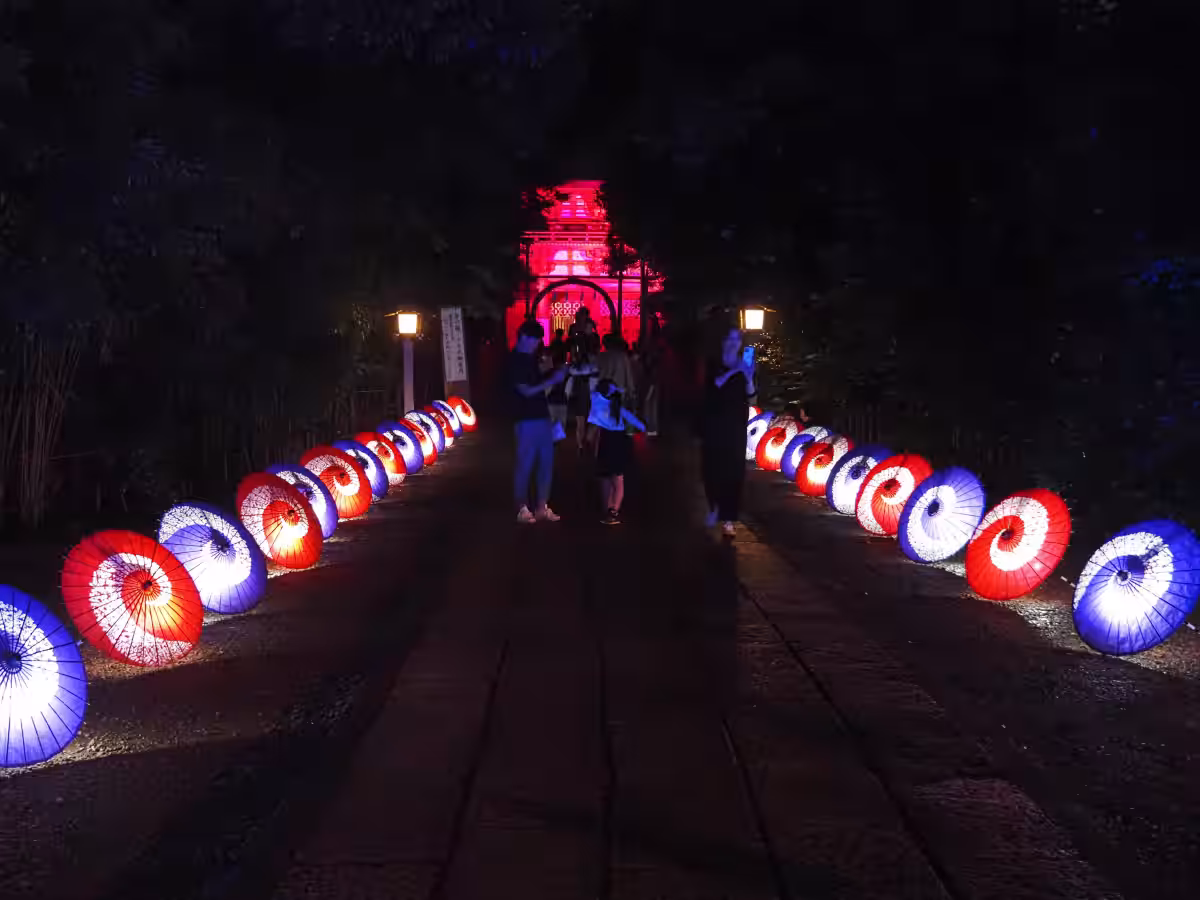 画像8