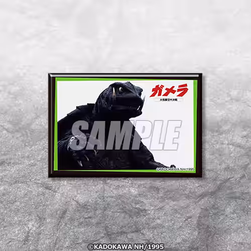 画像13