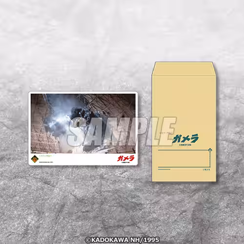 画像9