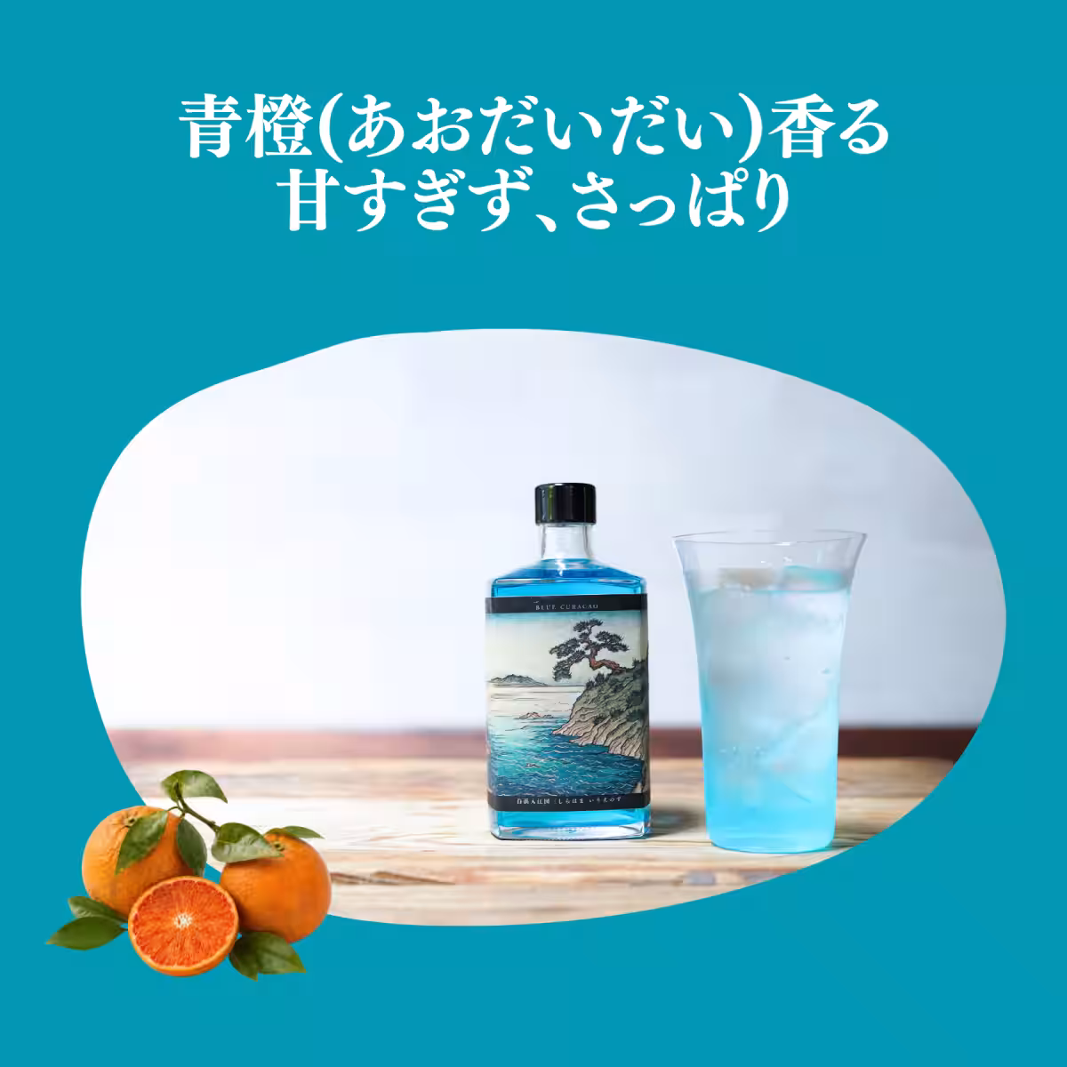 画像8