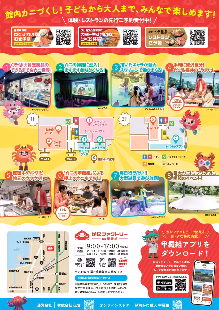 画像5