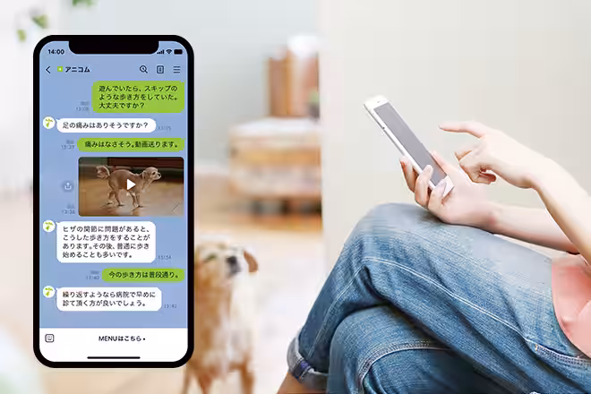 画像5