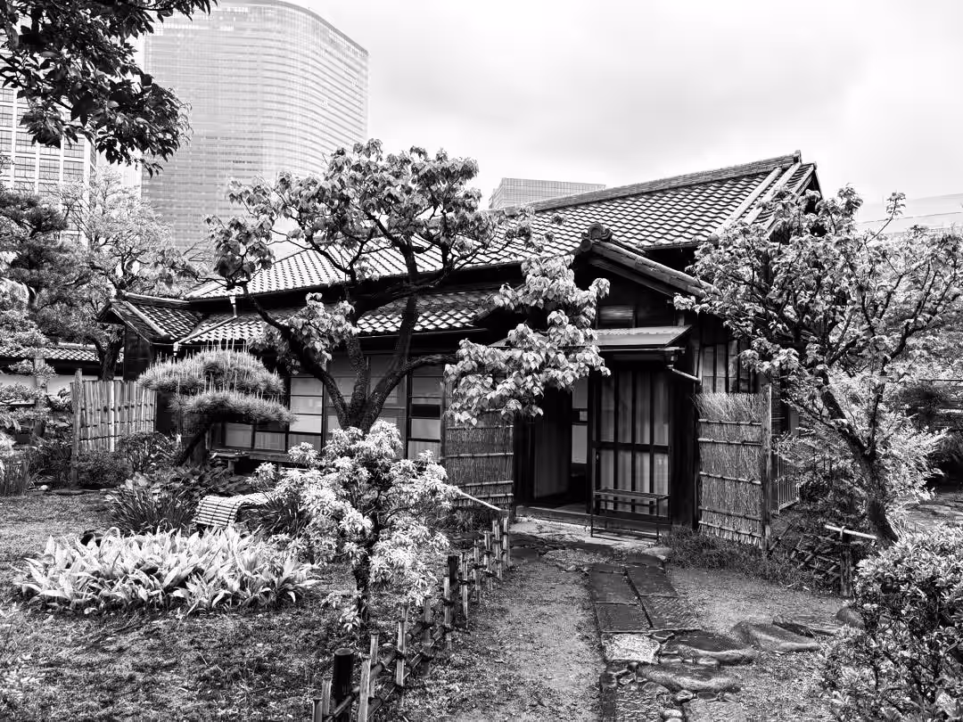 画像7