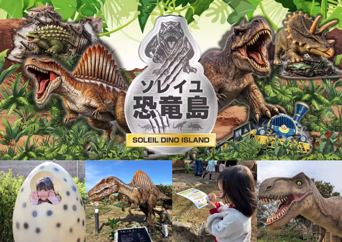 画像17