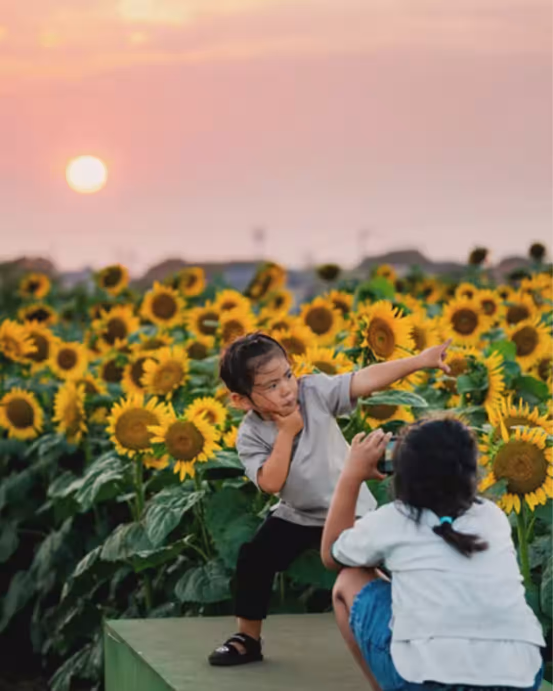 画像12