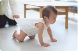 画像12