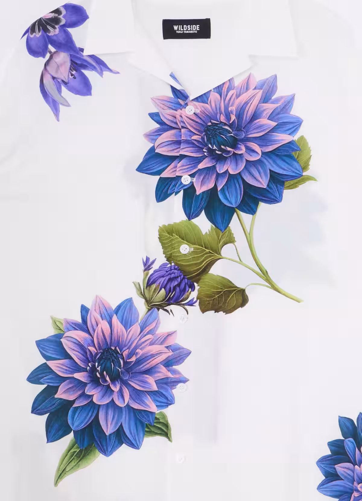 画像8