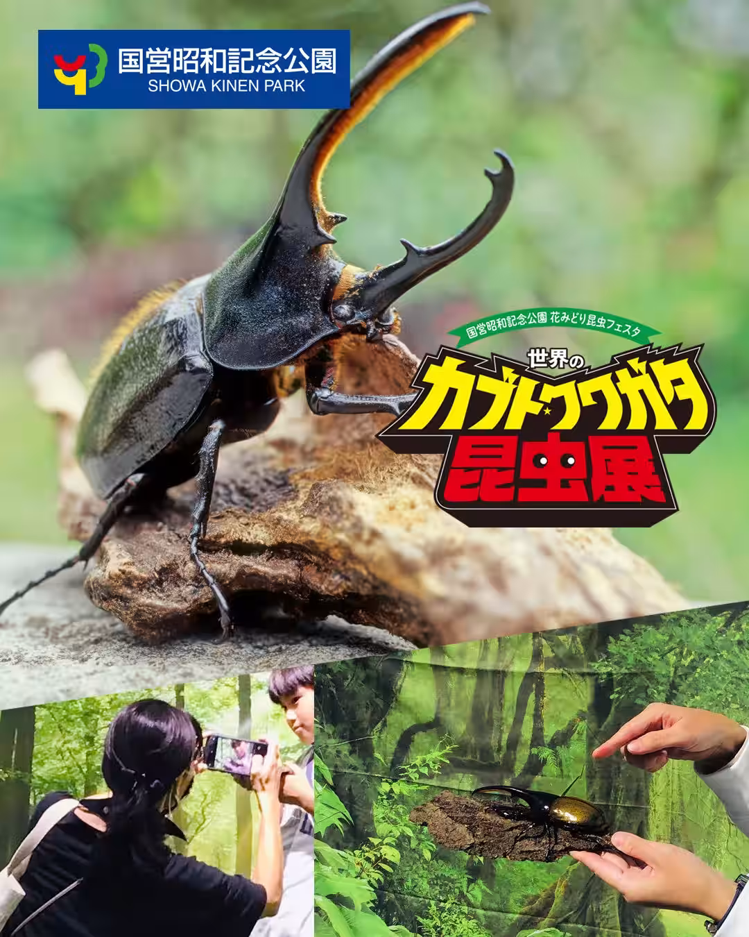 画像6