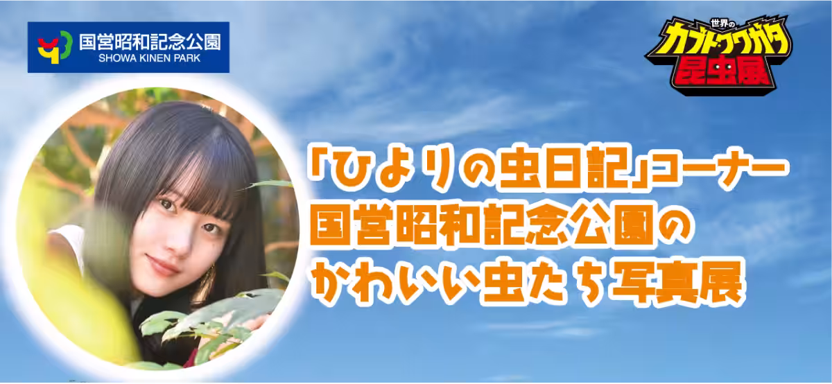 画像13