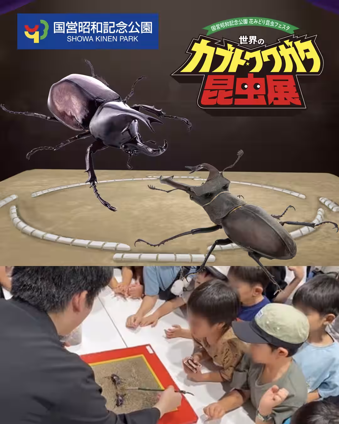 画像9