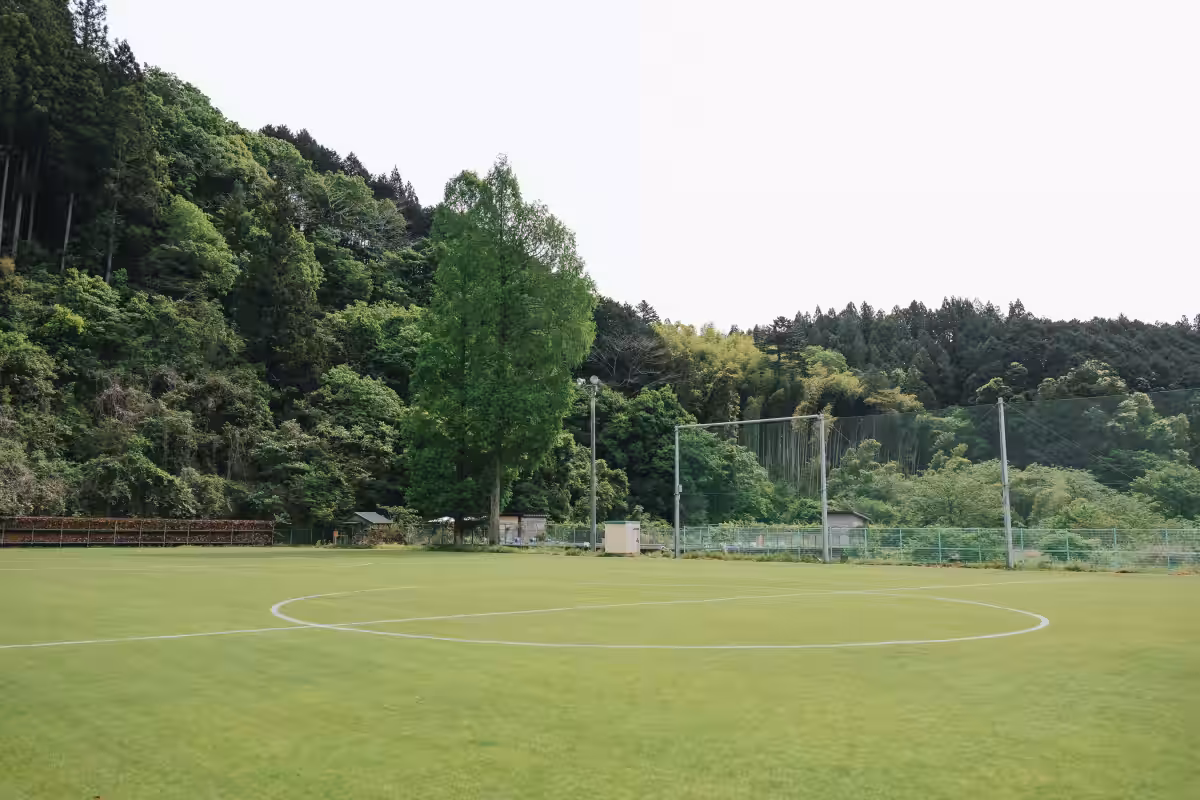 画像14