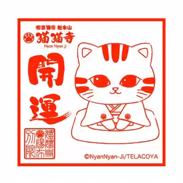 画像25