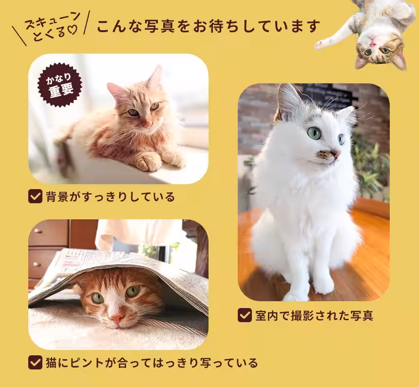 画像10
