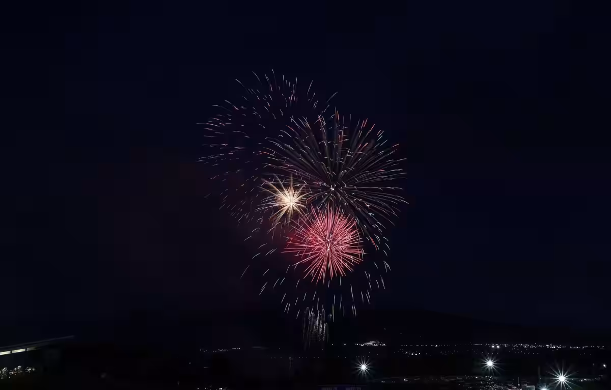 画像15