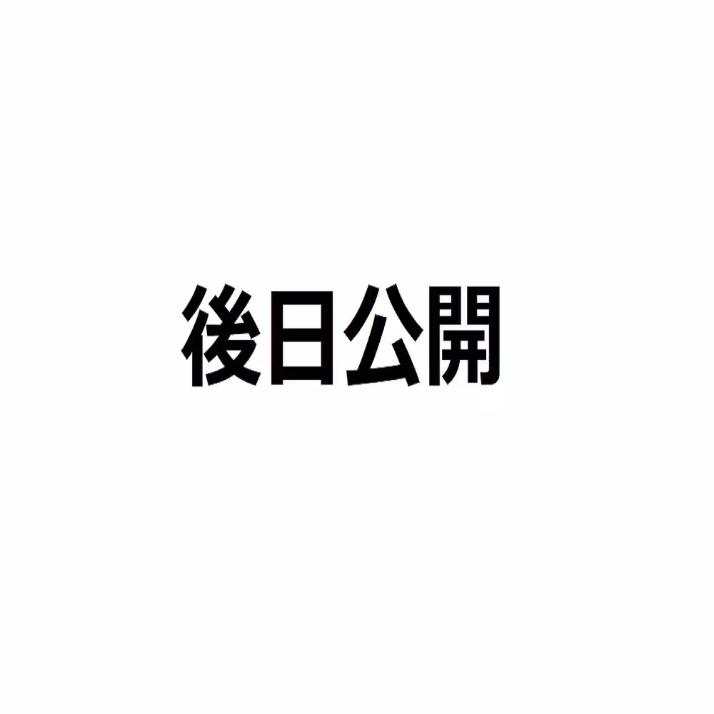 画像15