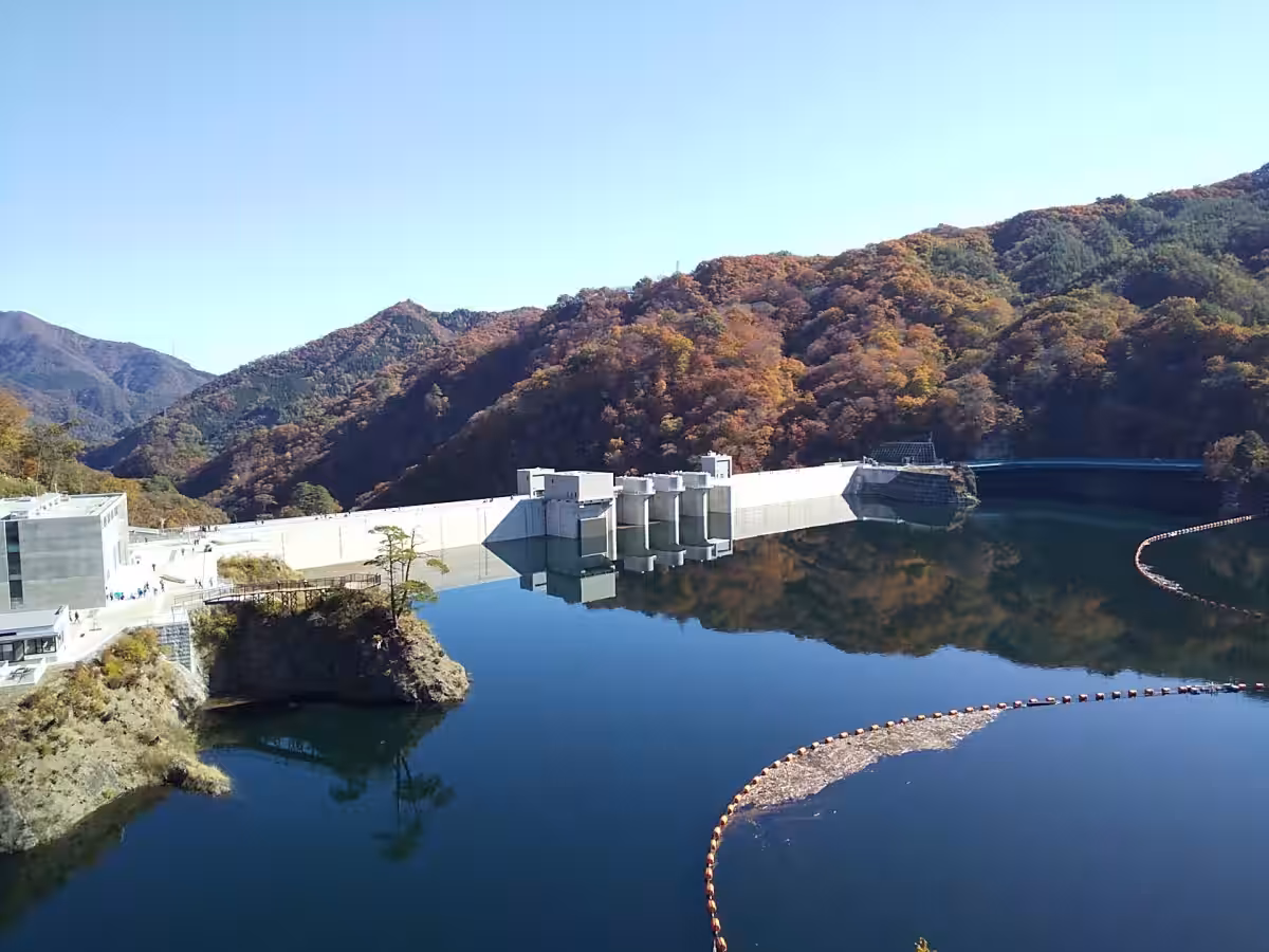 画像7