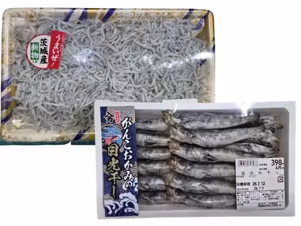 画像7