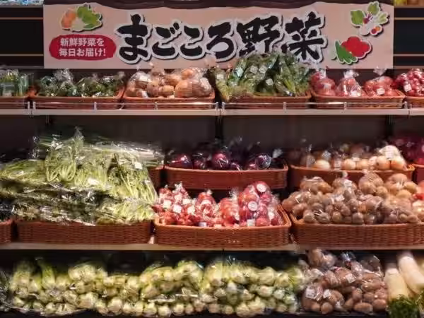 画像8