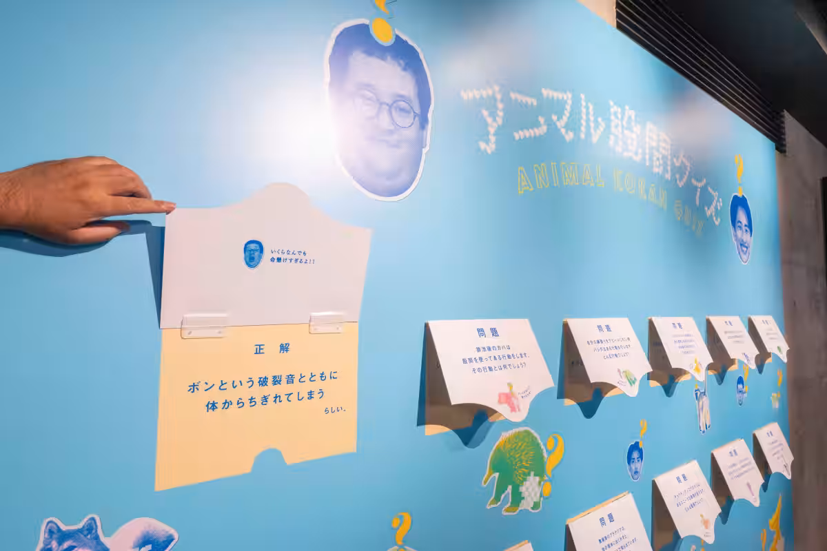 画像15