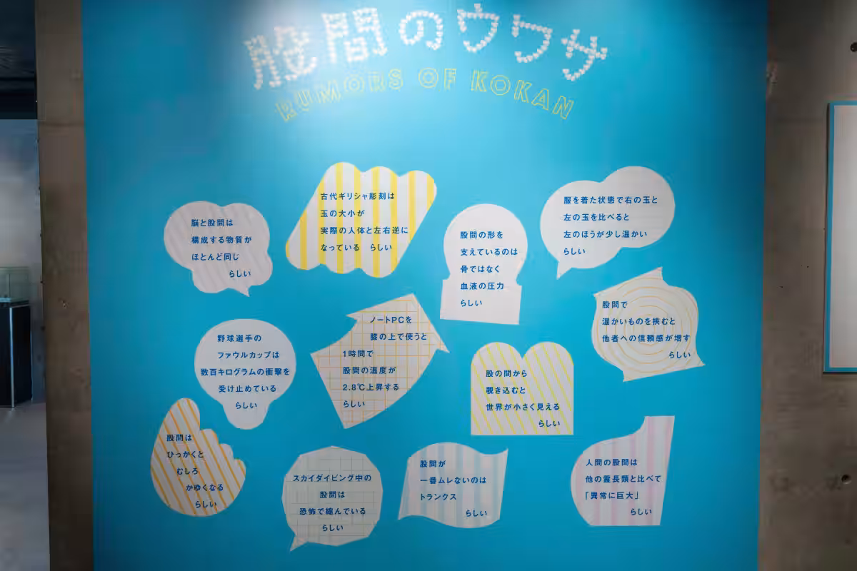 画像18