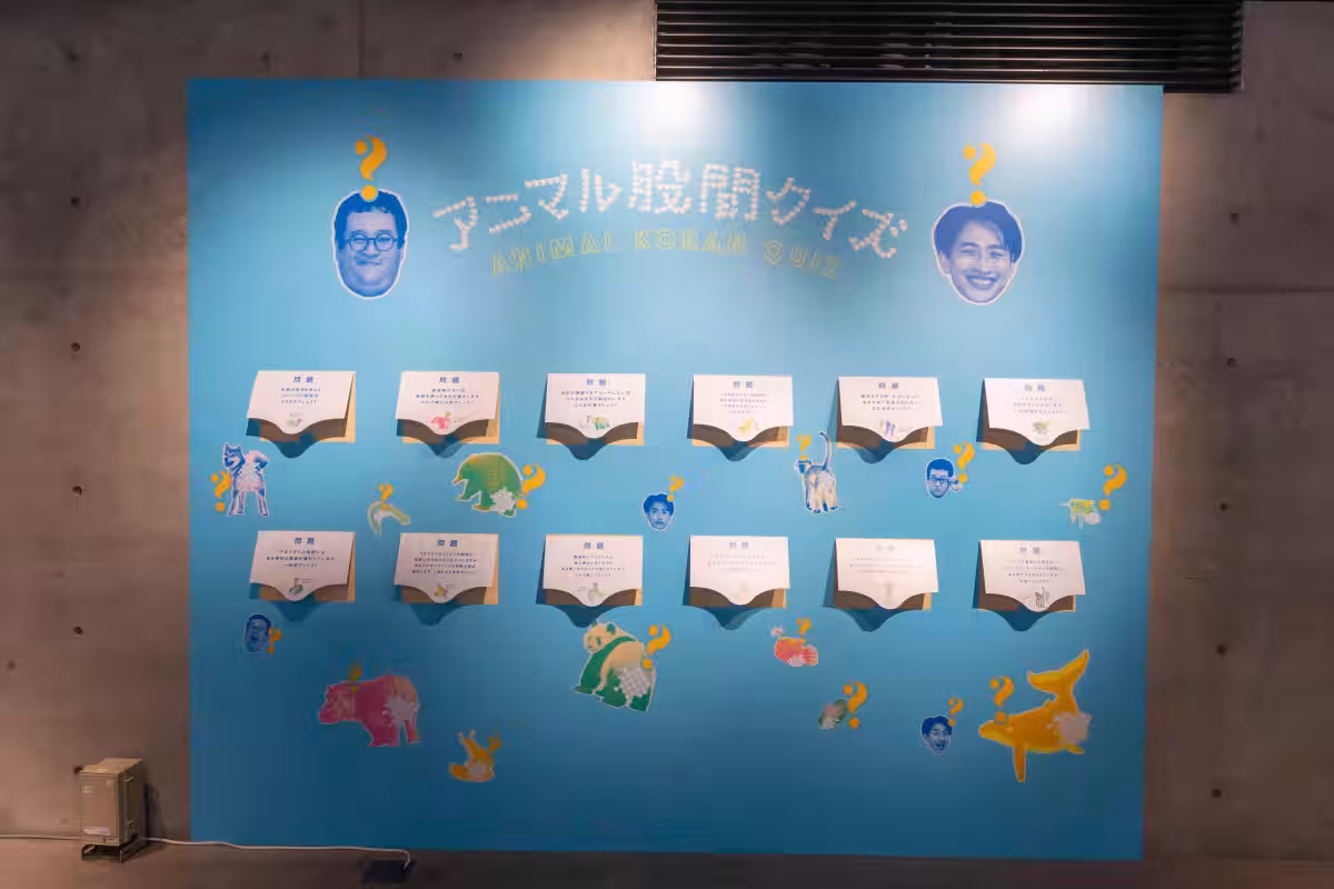 画像14