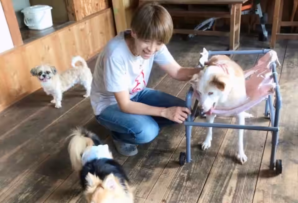 画像5