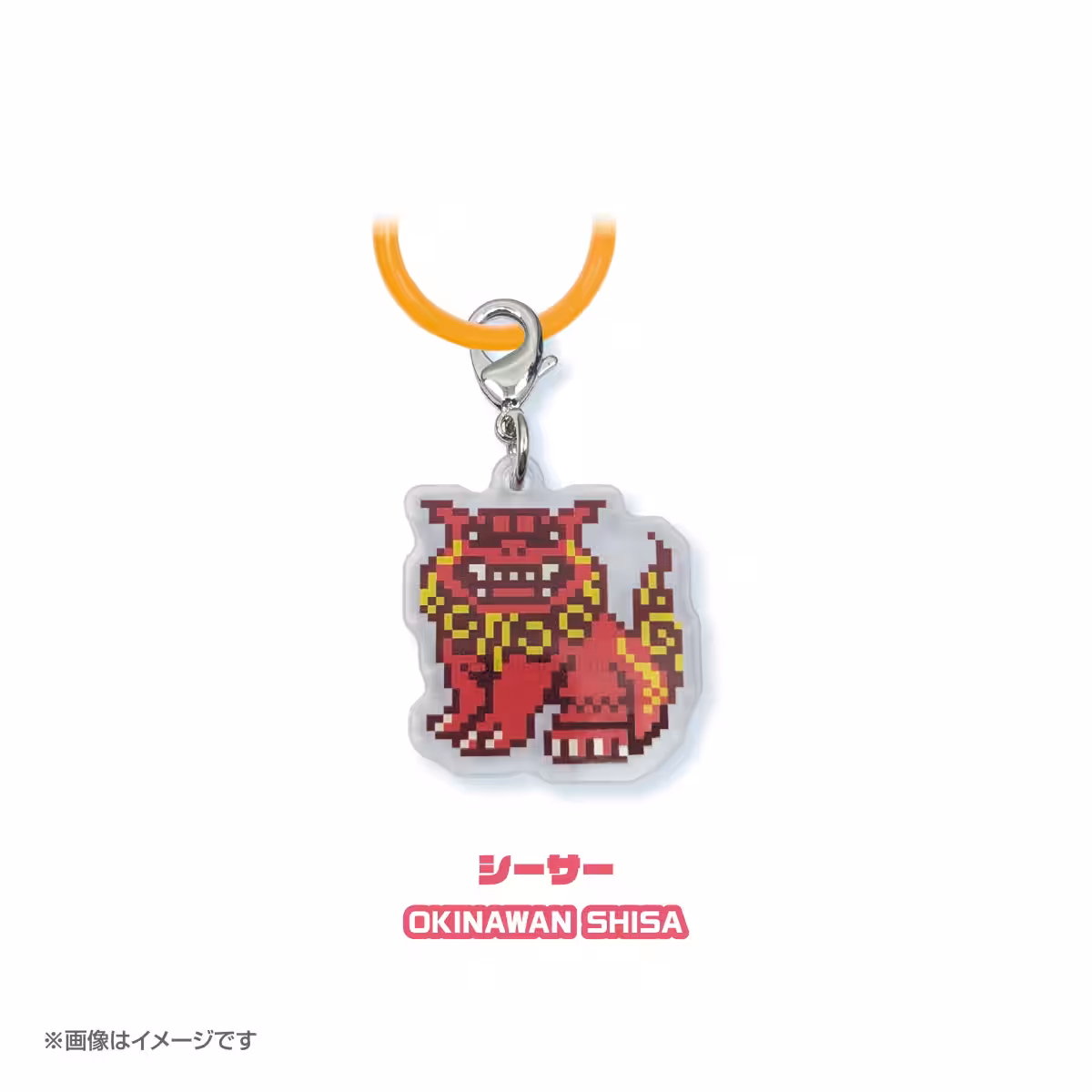 画像5