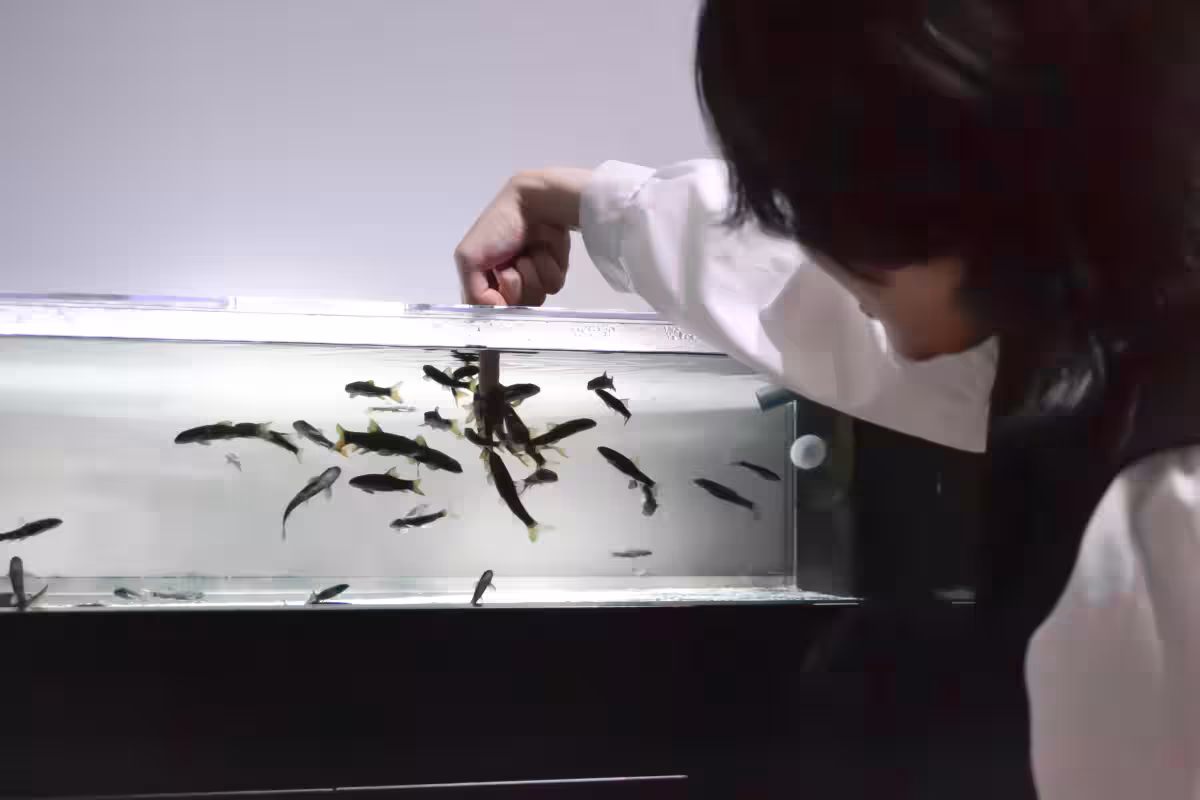 画像15