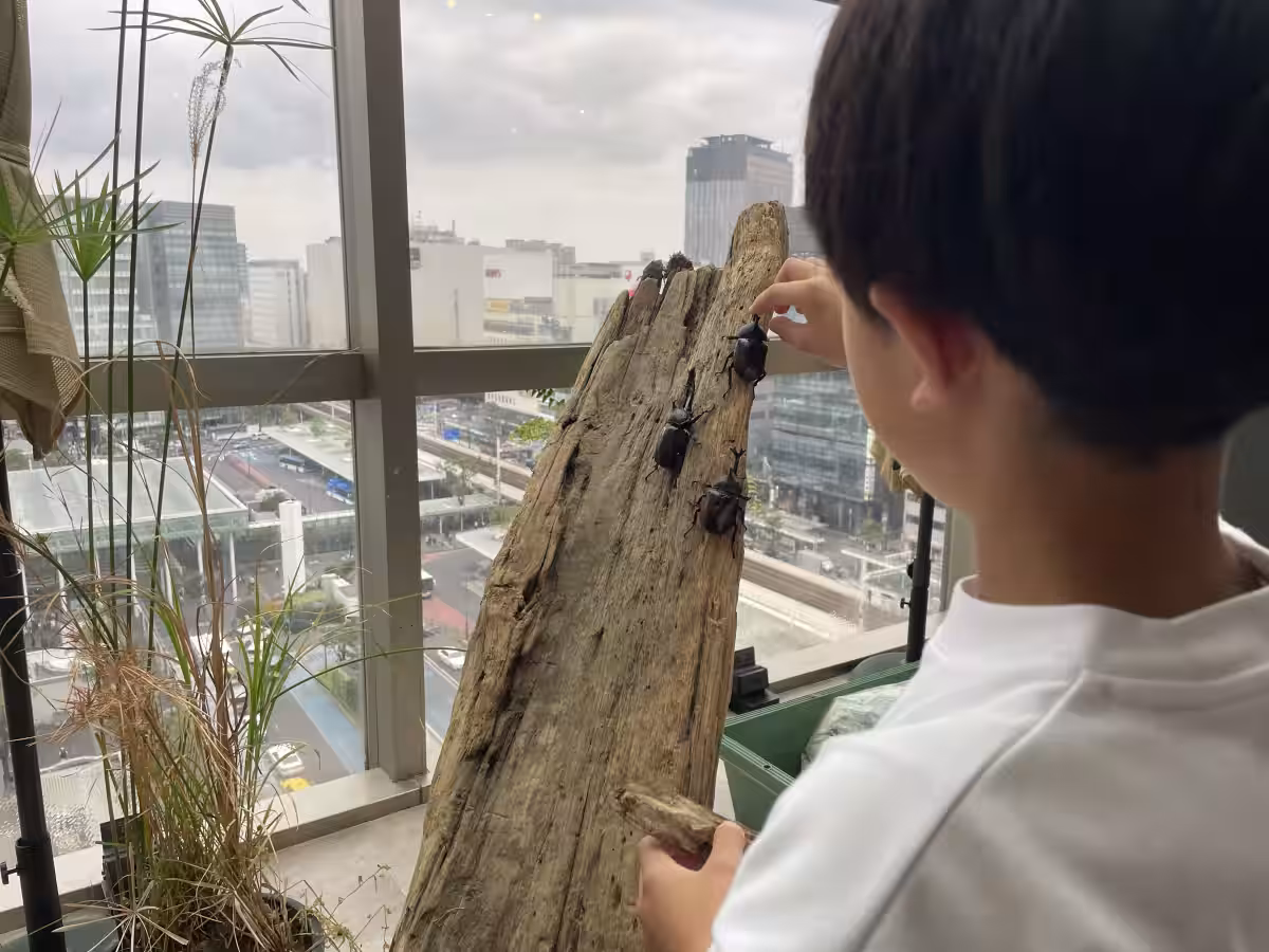 画像2