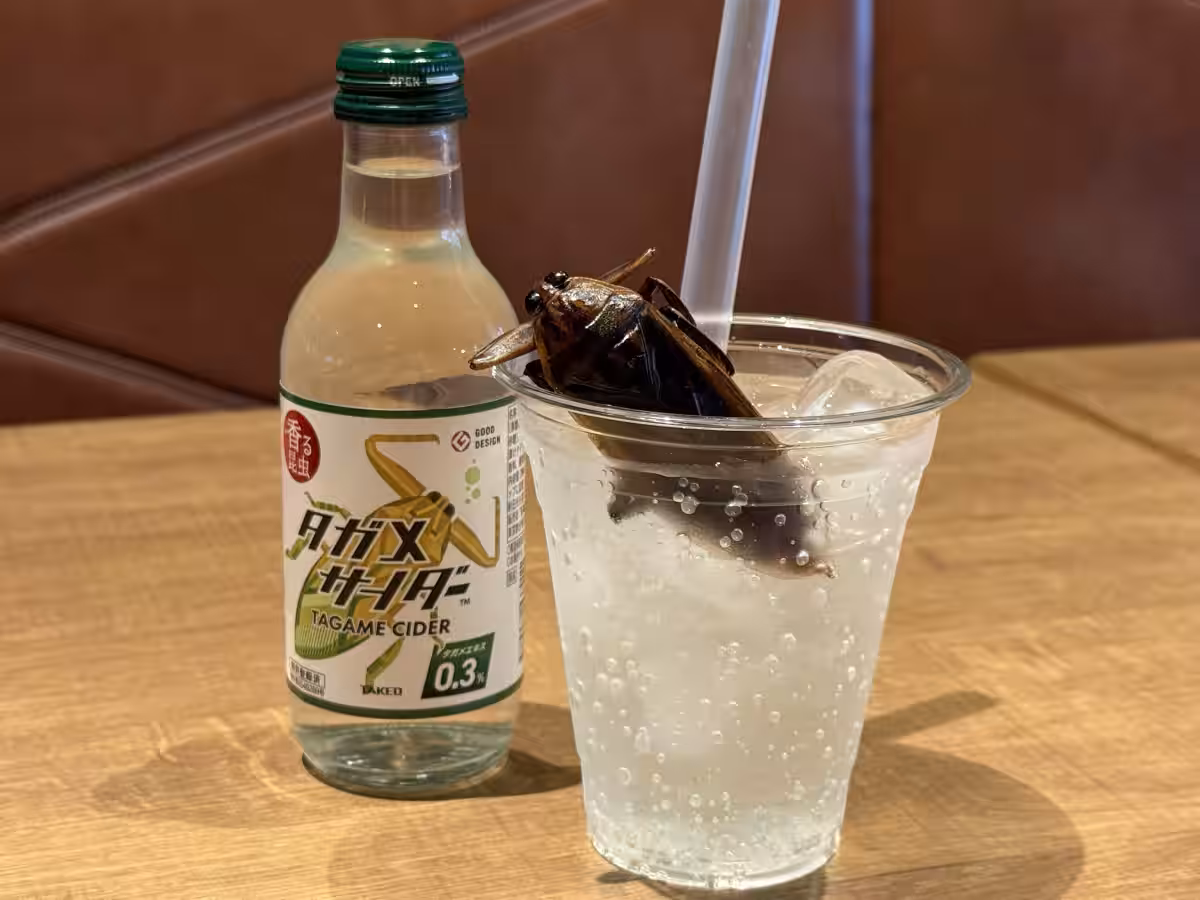 画像13