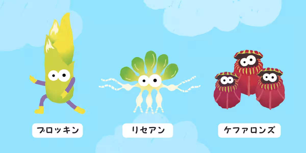 画像8