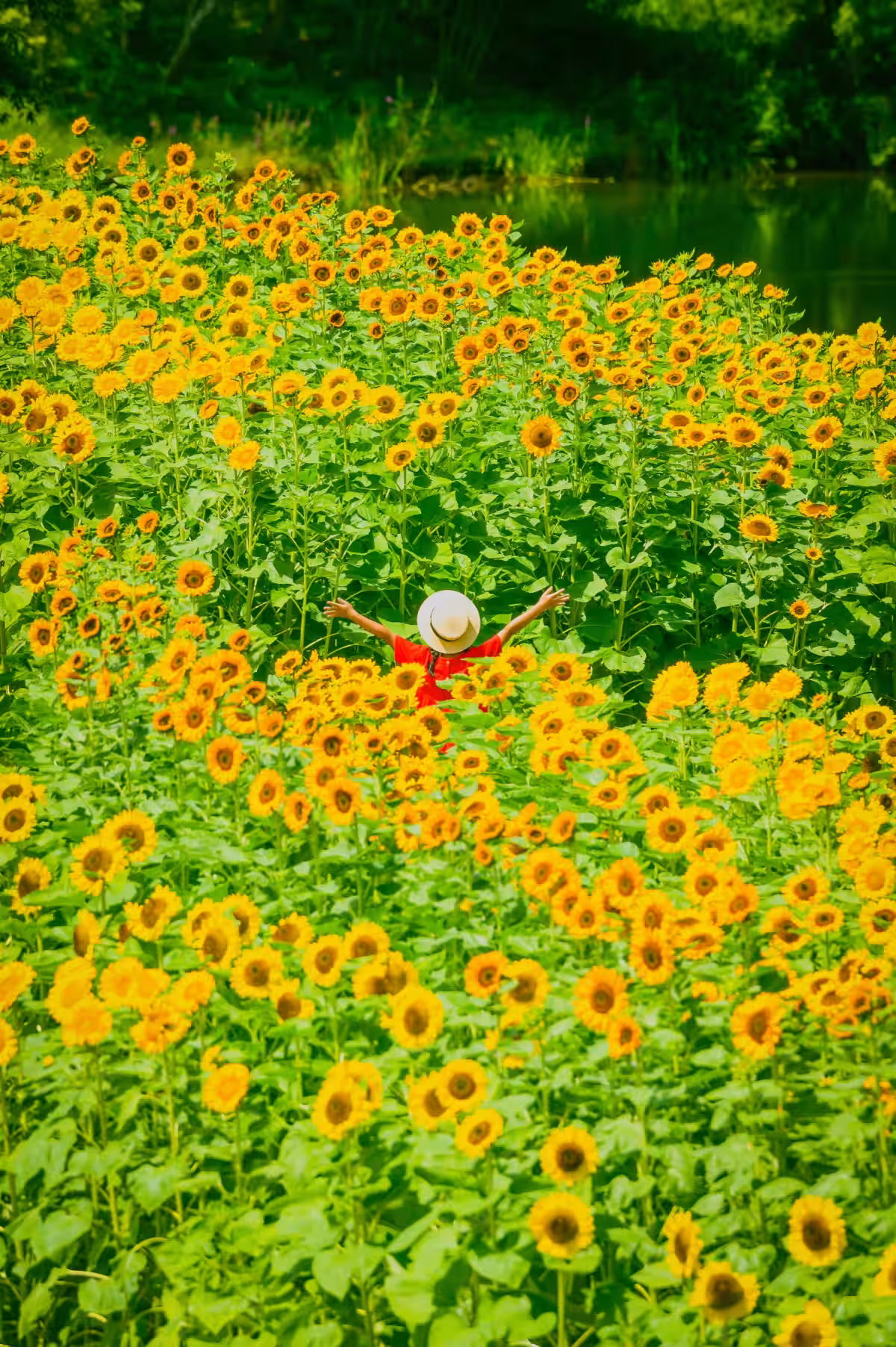 画像13