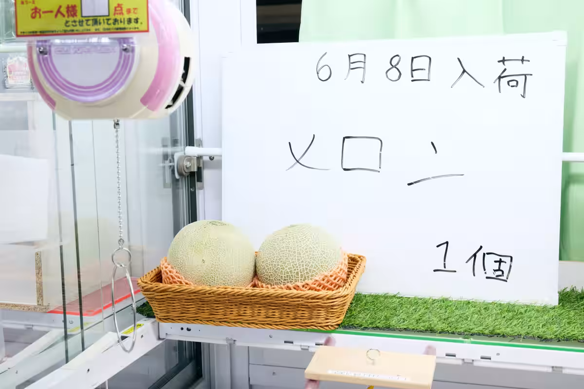 画像6