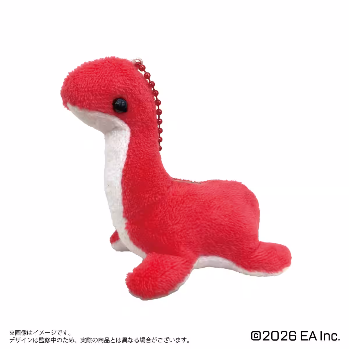 画像7