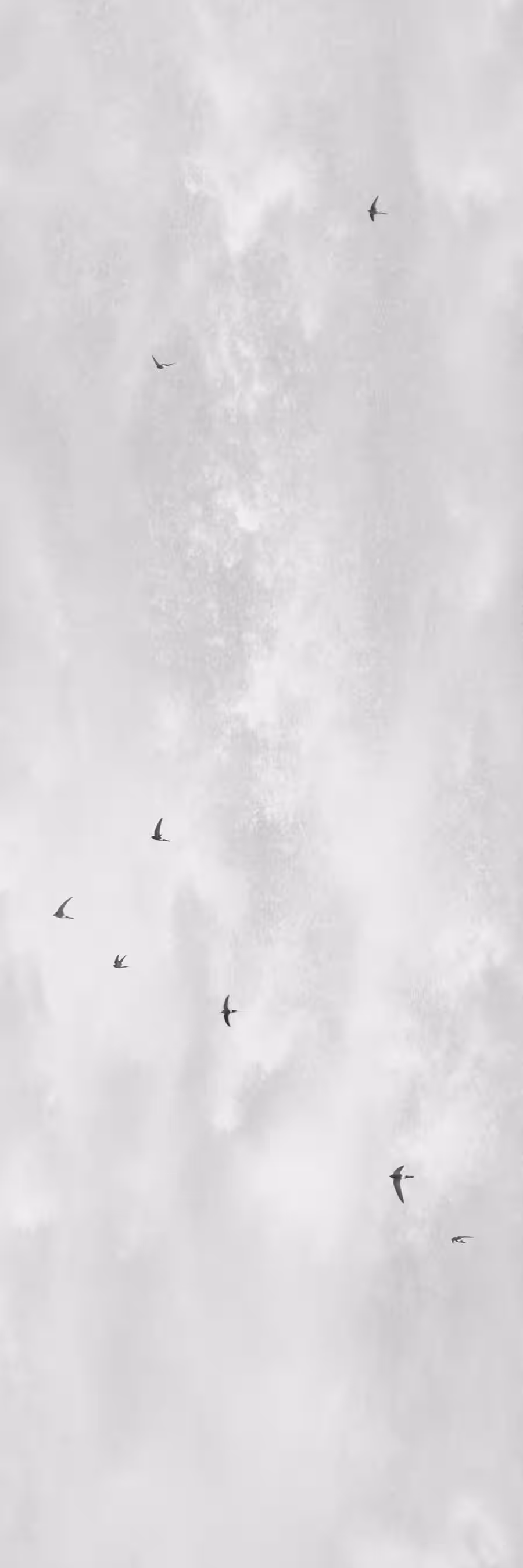 画像14