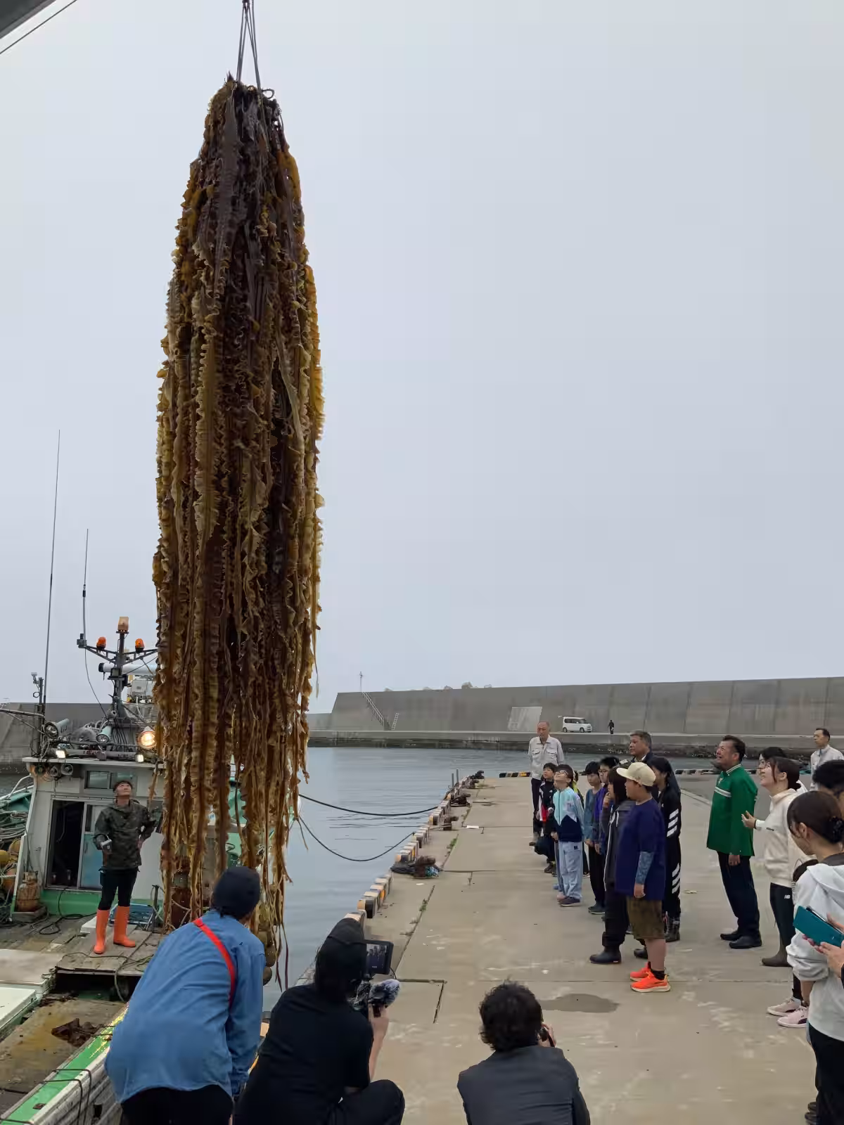 画像7
