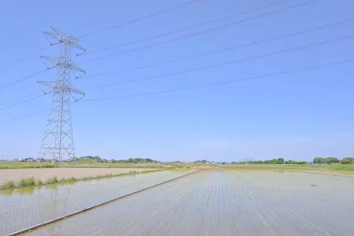画像10