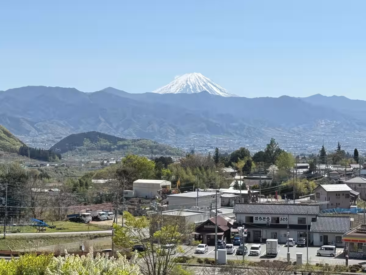 画像6