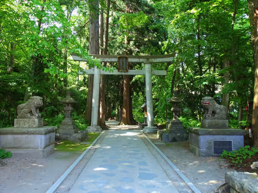 画像9