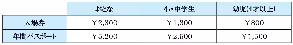 画像11