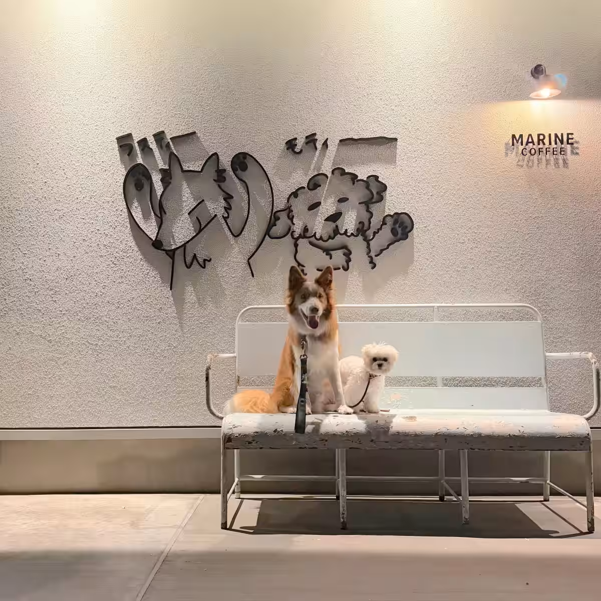 画像8