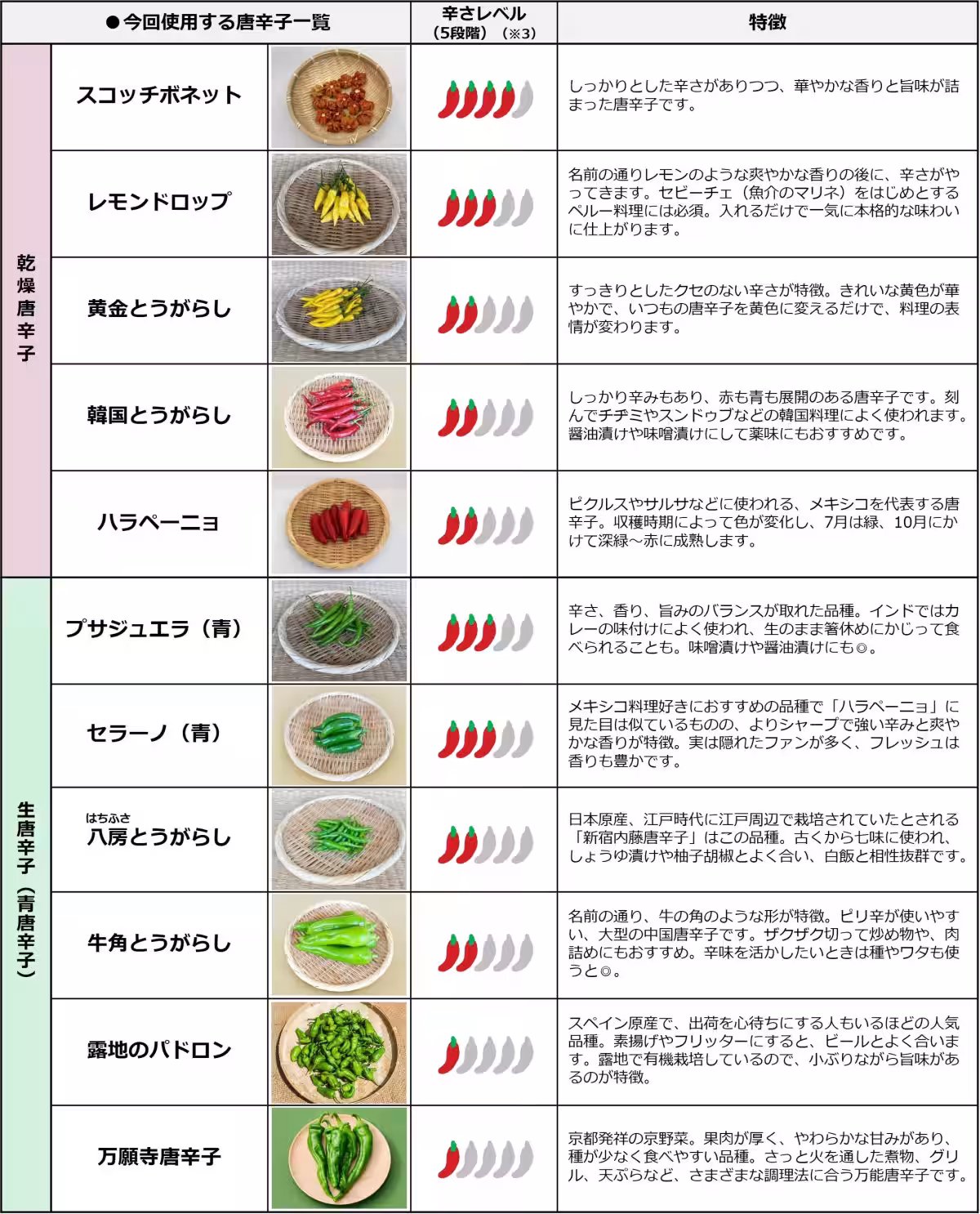 画像17