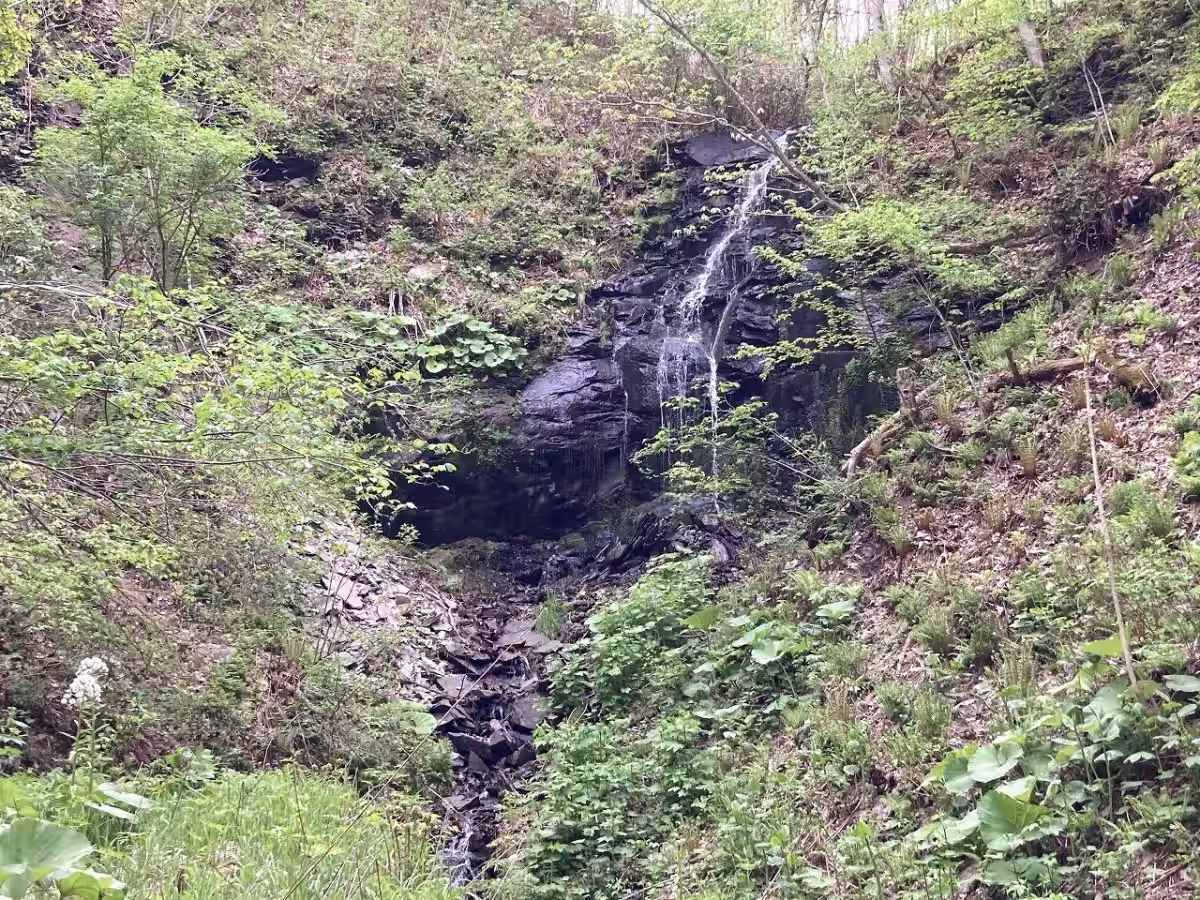画像9